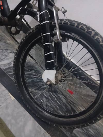 cycle's