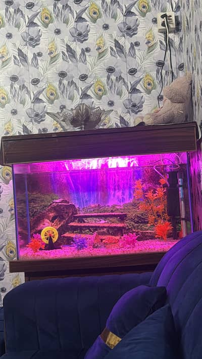 Fish tank
