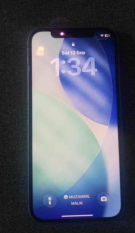 Apple iPhone 12 1