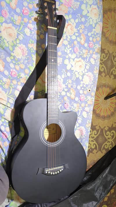 Semi Acoustic Guitar