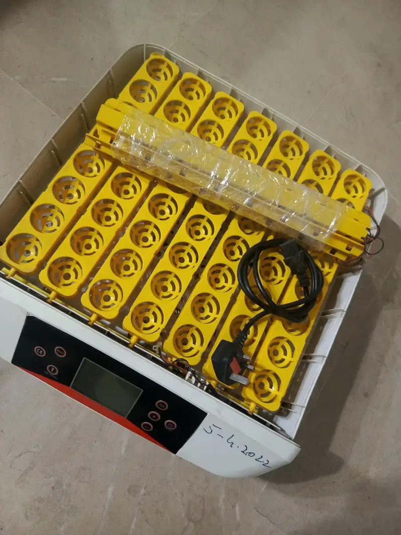 egg incubator HDD 56 — photo 2