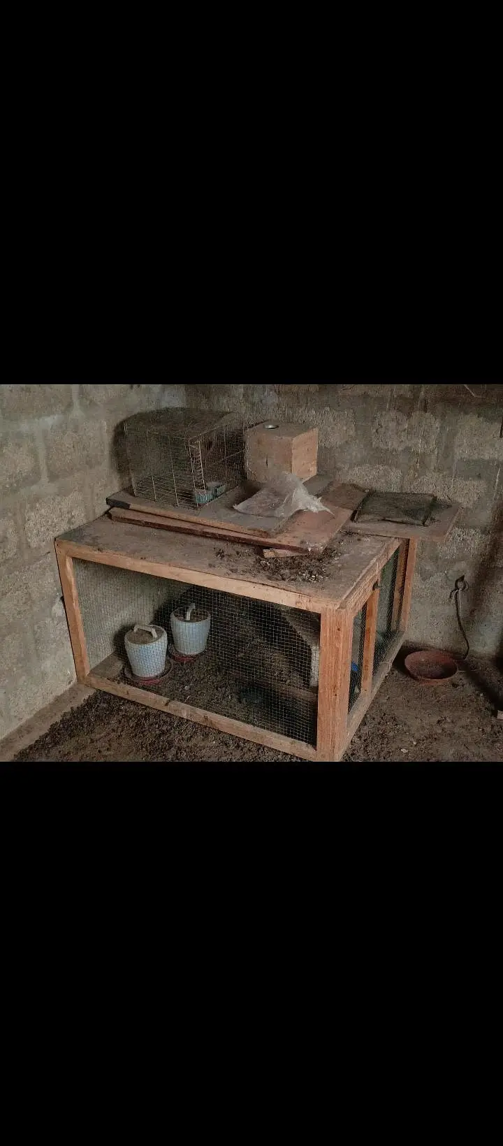 Watt attached wooden cage | Hens wooden cage frame — photo 2