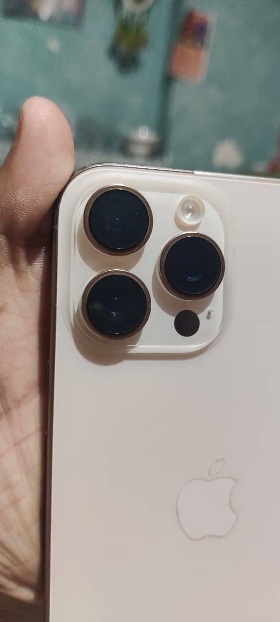 Apple iPhone 16 Pro Max 2