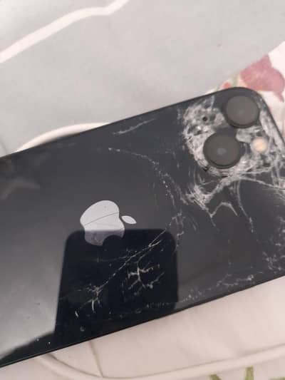 Apple iPhone 13