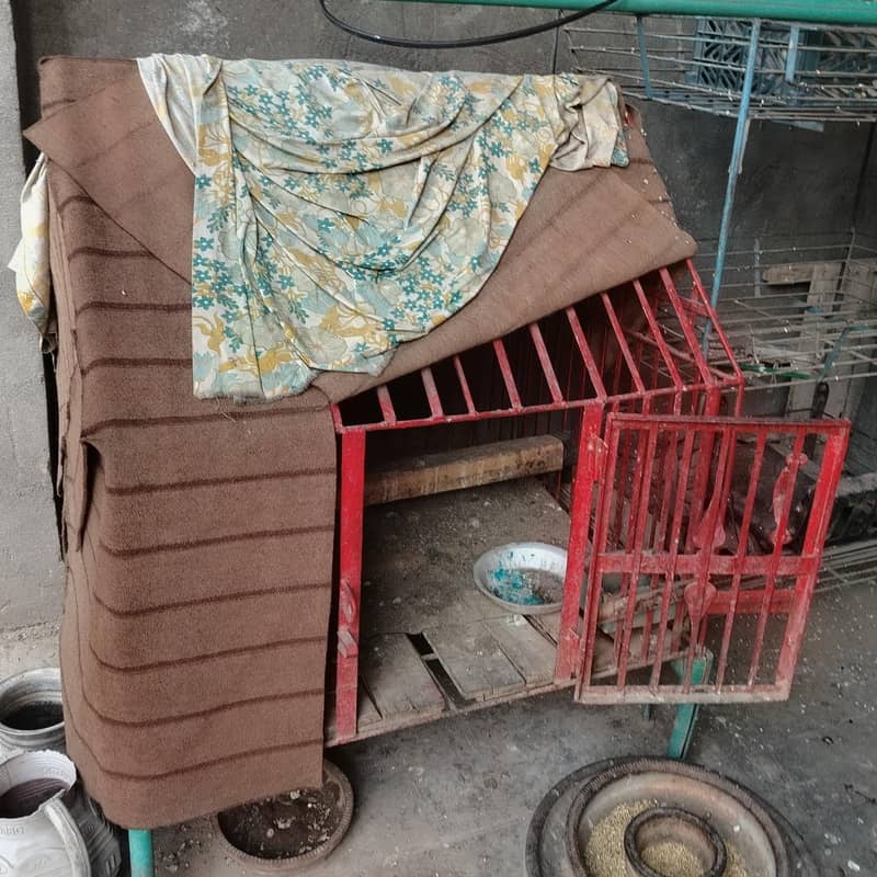 Cage 3×3 3