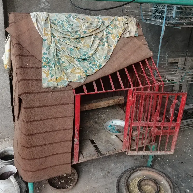 Cage 3×3 — photo 4