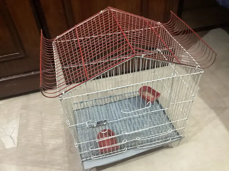 SMALL BIRD CAGE — photo 2