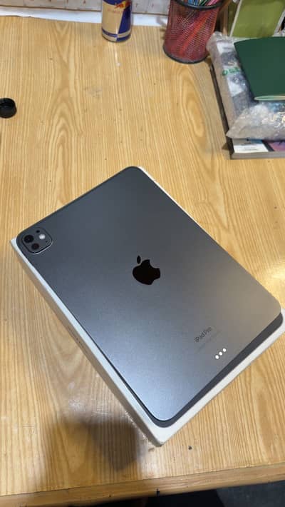 Ipad pro m4  11 inch