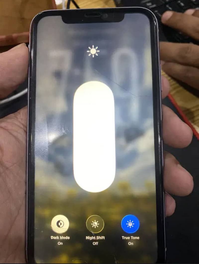 Apple iPhone 11 2
