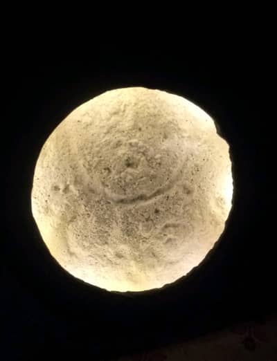 NIGHT LIGHT
