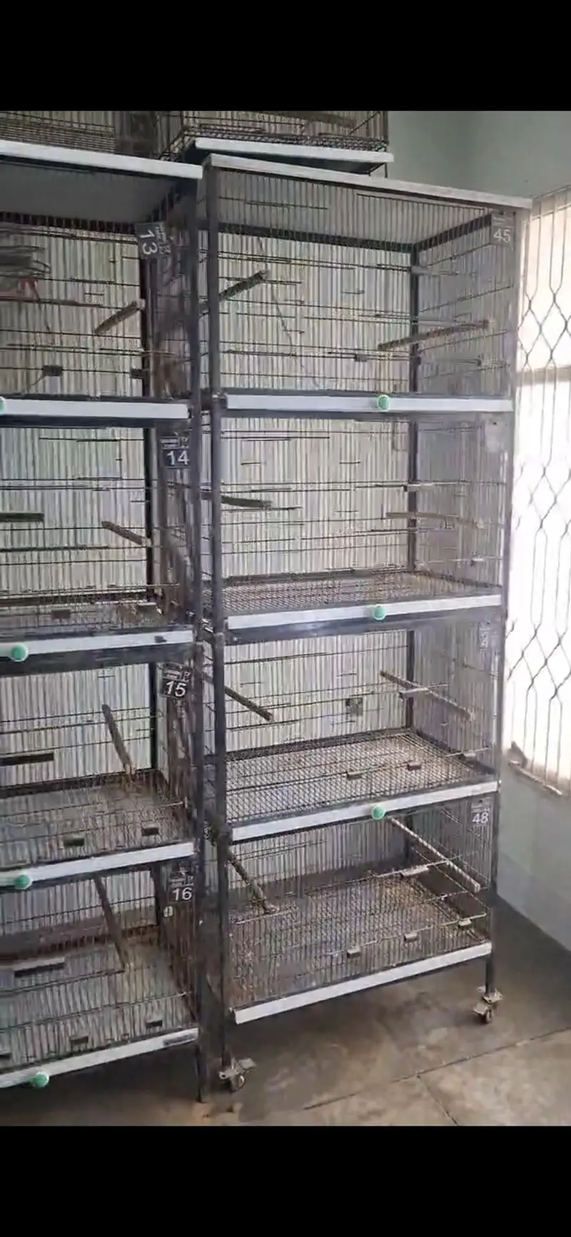Cages Pinjra For Sale  For Canore, Love birds, Cocktail. — photo 3