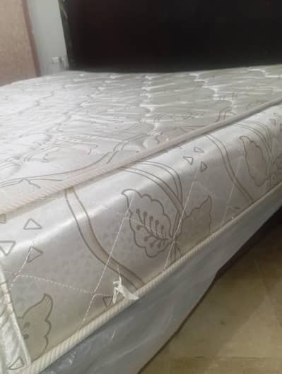 Master Molty Foam Spring Mattress 8 inch 0348 7174441