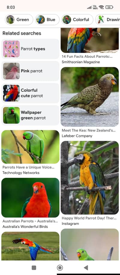 2 pareot
