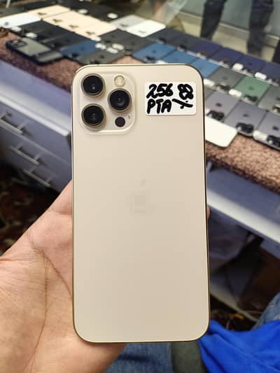 Apple iPhone 12 Pro Max
