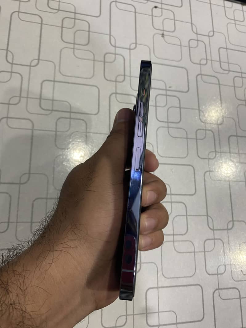 Apple iPhone 13 Pro Max 2