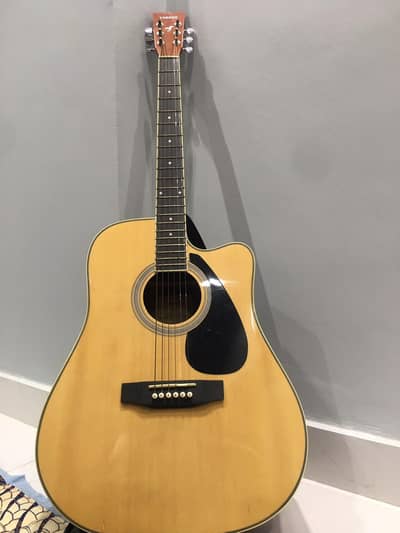 Acoustic guitar