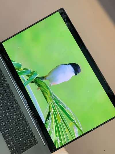 Hp Zeebook 16g10
