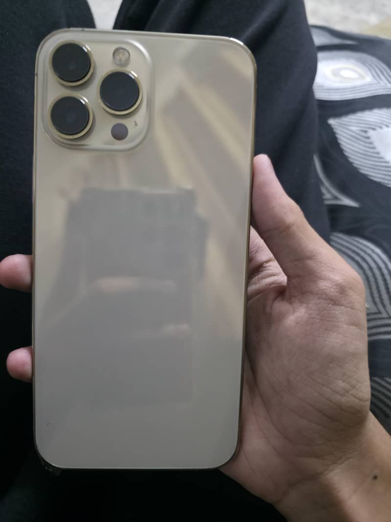 Apple iPhone 13 Pro Max 0