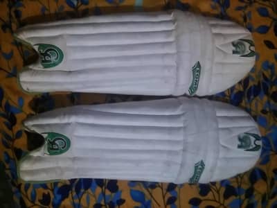 CA PADS bilkul new