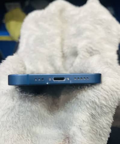 Apple iPhone 13 dual pta approved