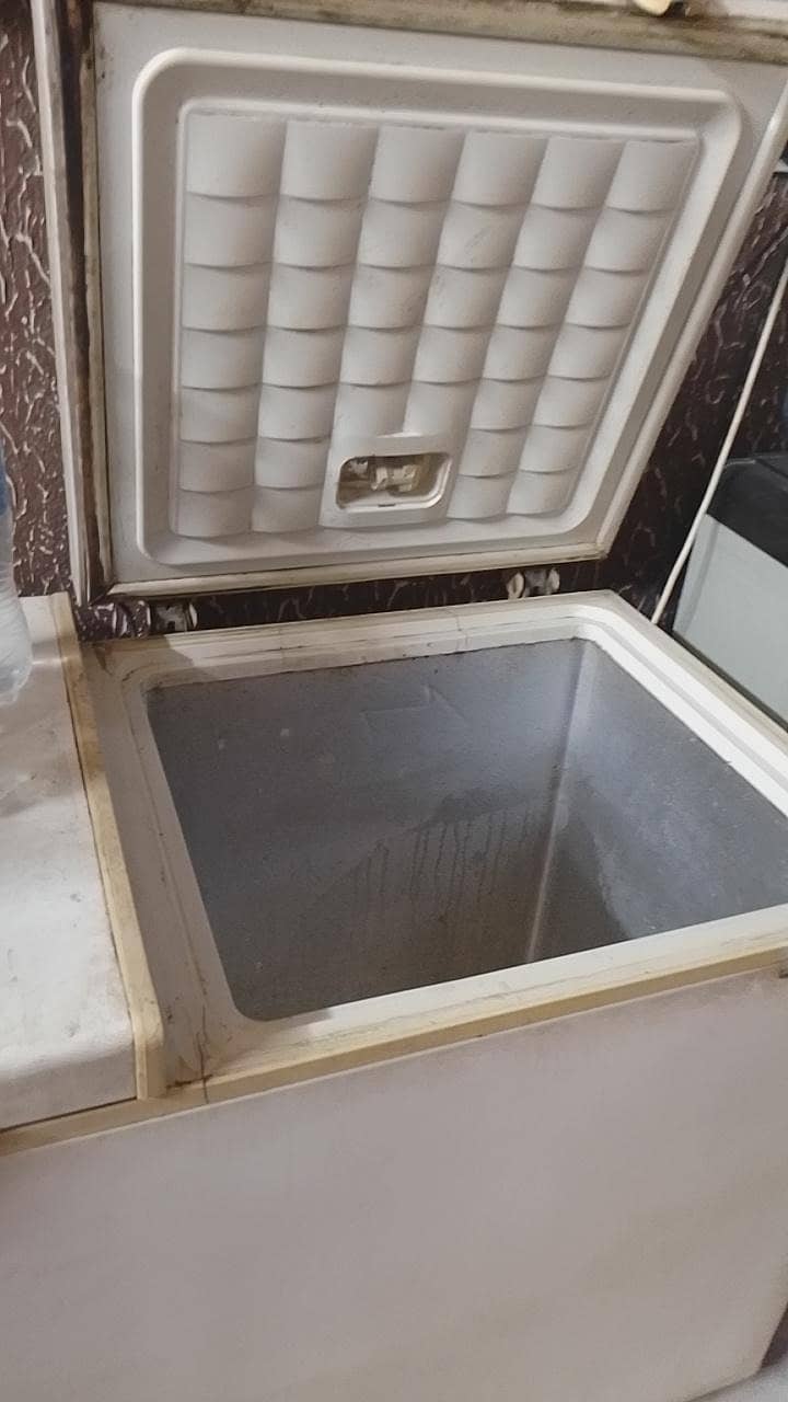 Deep Freezer 1