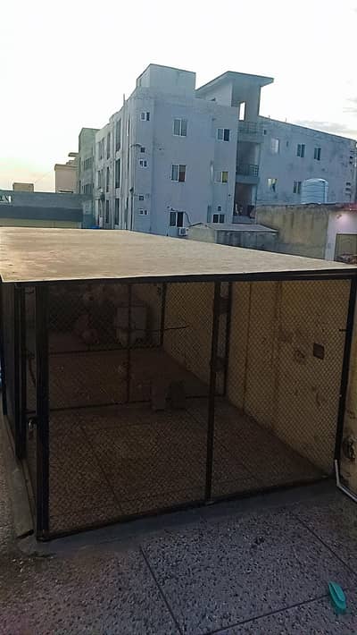 Birds Cage پرندوں کے لیے پنجرا