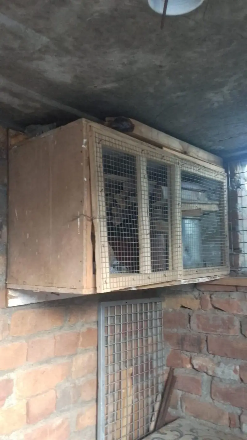 Hen cages