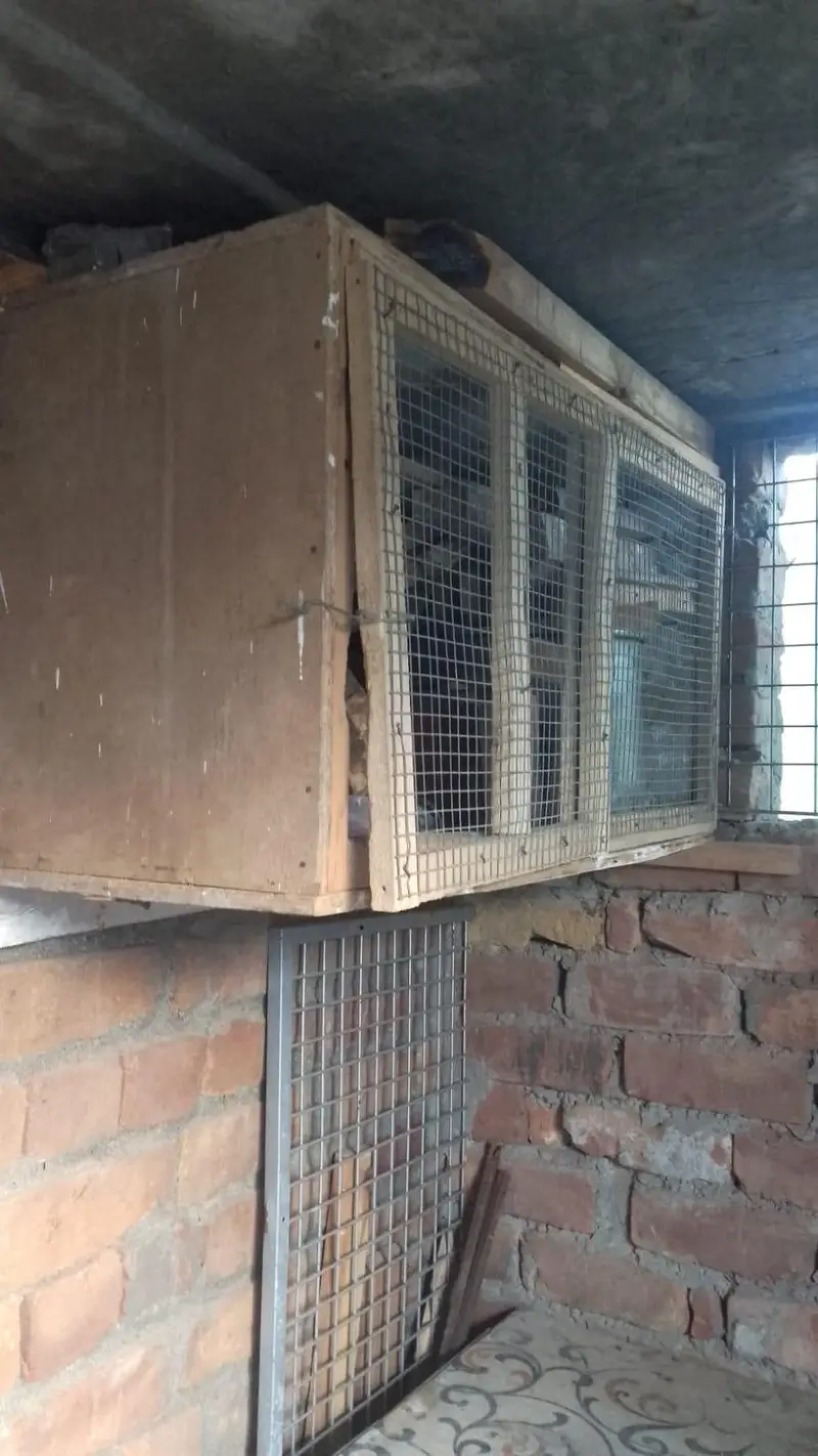 Hen cages — photo 2