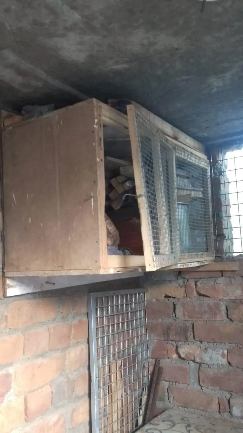 Hen cages — photo 5