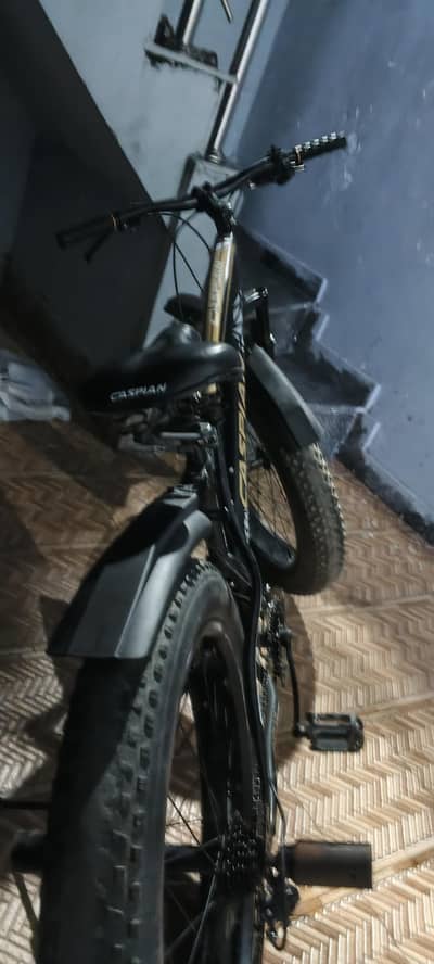 fat tyre cycle