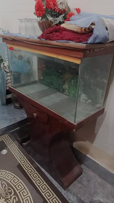 6000 aquarium 030453444204
