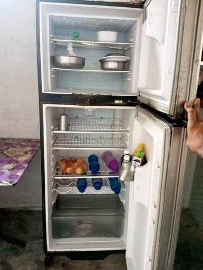 weves full size frige