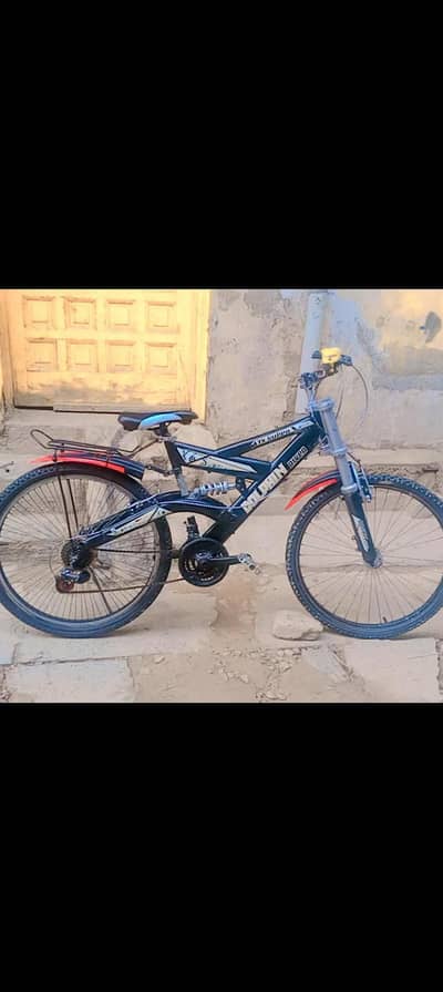 Dolphin river bicycle for sale best condition best quality bicycle