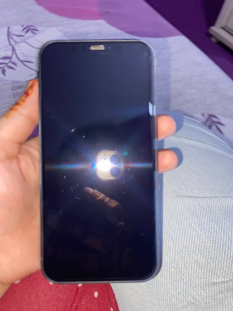 Apple iPhone 12 1