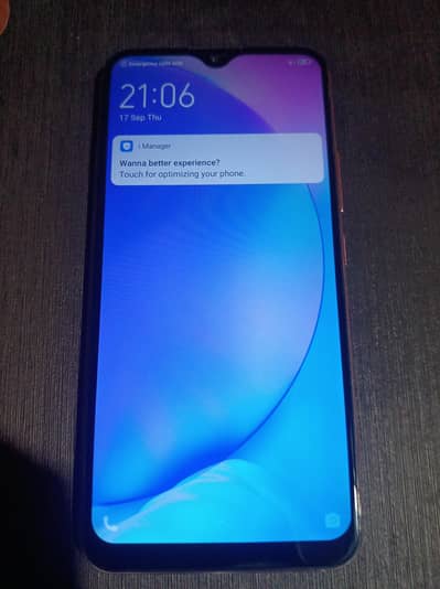 Vivo Y17