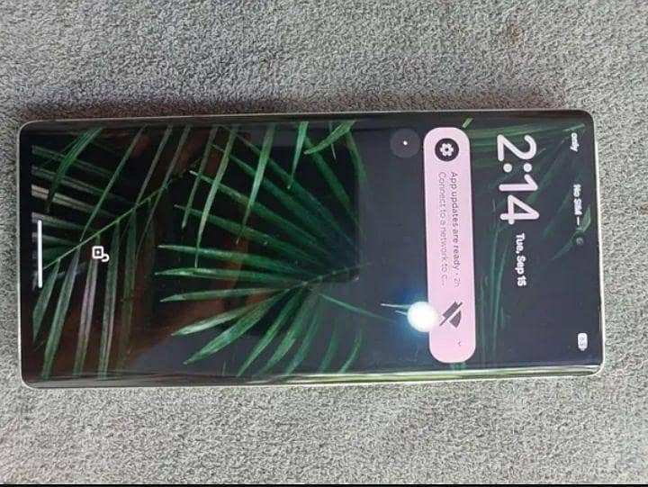 Google Pixel 6 Pro 4