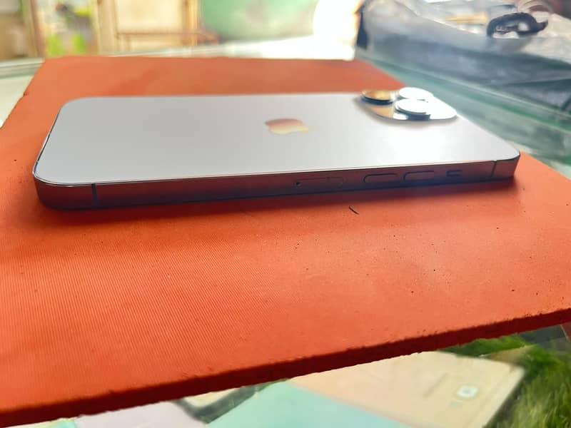 Apple iPhone 13 Pro Max 2
