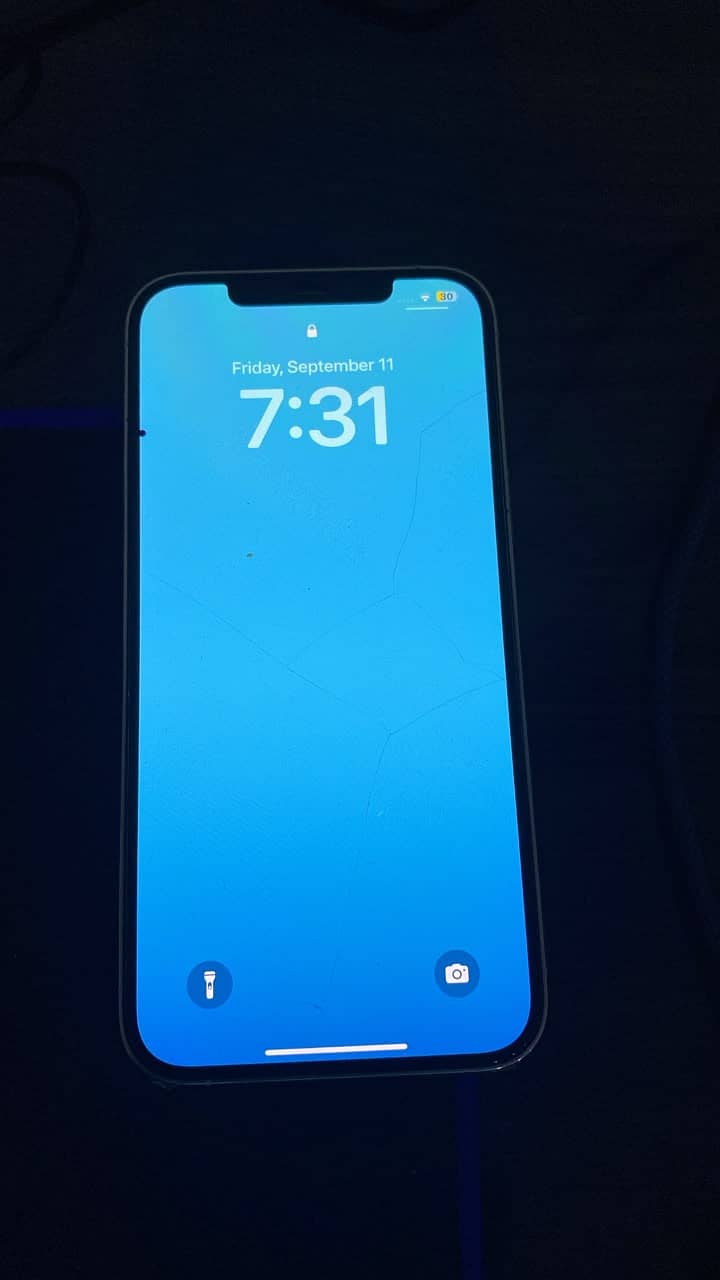 Apple iPhone 12 Pro Max 4