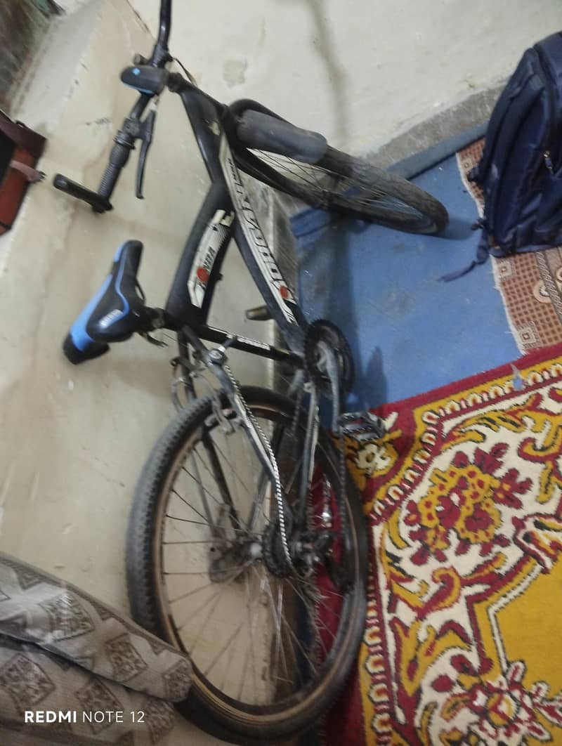 kid cycle 0