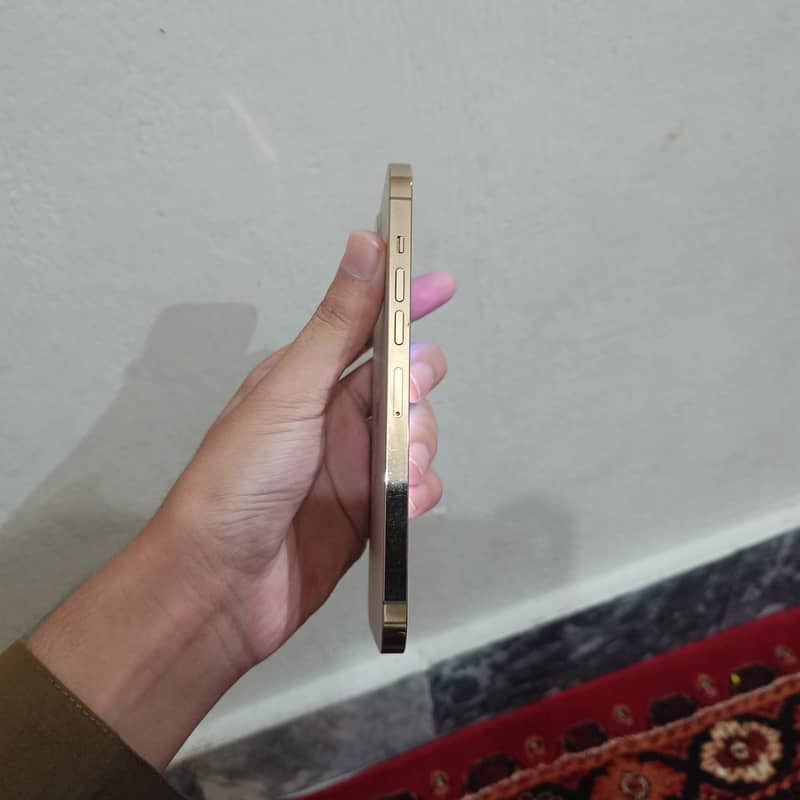 Apple iPhone 14 Pro Max 7