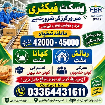 Factory Packing Jobs | Free Food & Residence | Workers Required | Jobs