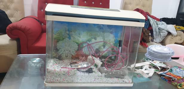 Aquarium