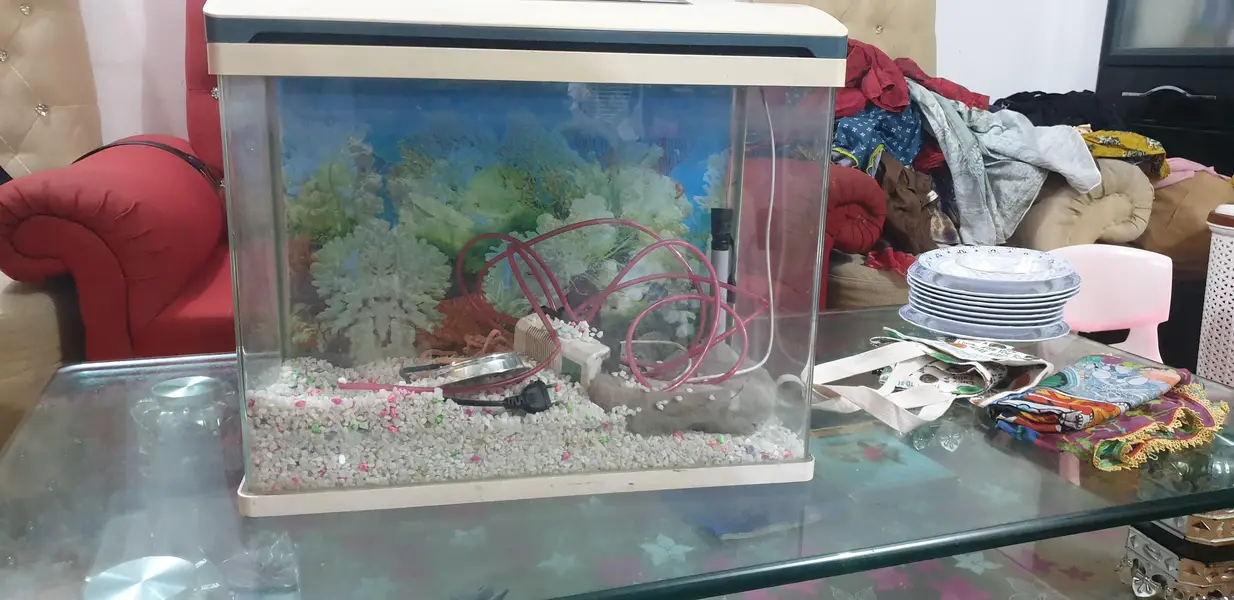 Aquarium — photo 2