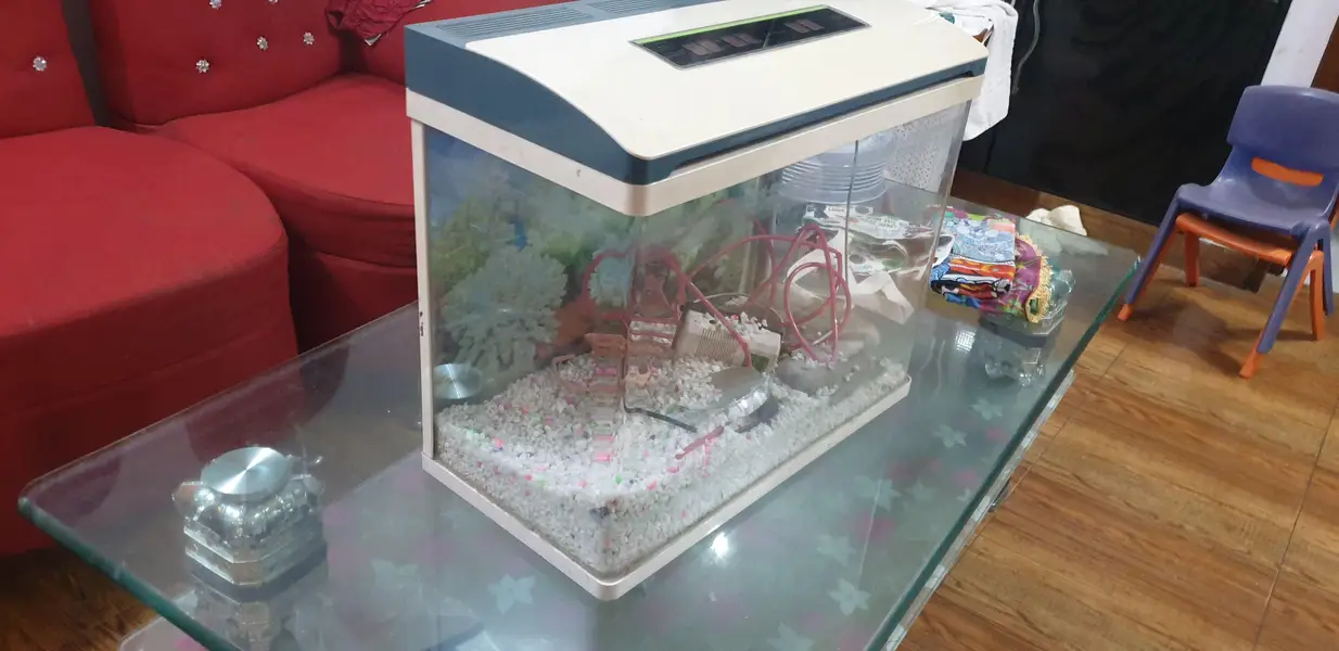 Aquarium — photo 3