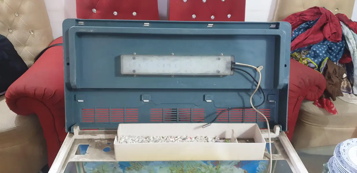 Aquarium — photo 5