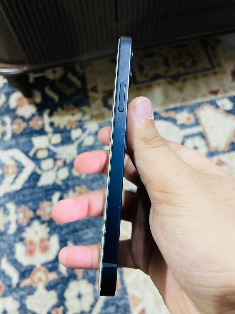 Apple iPhone 12 1