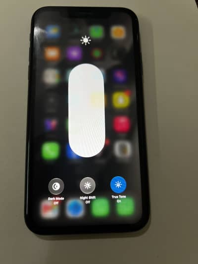 Apple iPhone 11