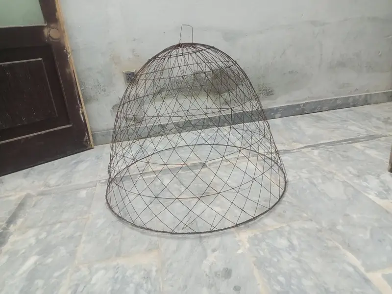 Hen Cage for Sale