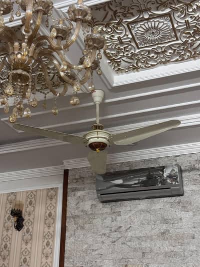 Fan for sale