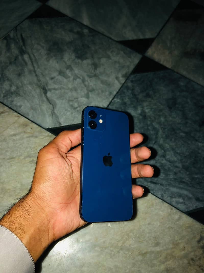 Apple iPhone 12 1